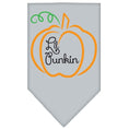 Load image into Gallery viewer, Halloween Pet and Dog Bandana Screen Printed, "Lil Punkin"
