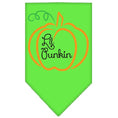 Load image into Gallery viewer, Halloween Pet and Dog Bandana Screen Printed, "Lil Punkin"
