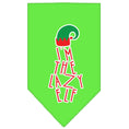 Load image into Gallery viewer, Christmas Pet and Dog Bandana Screen Printed, "I'm The Lazy Elf"
