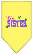 Load image into Gallery viewer, Pet and Dog Bandana Screen Printed, "Big Sister"
