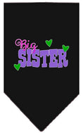 Load image into Gallery viewer, Pet and Dog Bandana Screen Printed, "Big Sister"
