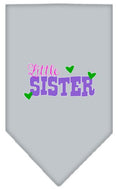 Load image into Gallery viewer, Pet and Dog Bandana Screen Printed, "Little Sister"
