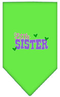 Load image into Gallery viewer, Pet and Dog Bandana Screen Printed, "Little Sister"
