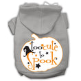 Load image into Gallery viewer, Halloween Pet Hoodie "Too Cute To Spook"
