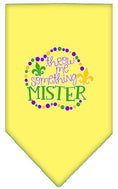 Load image into Gallery viewer, Pet and Dog Bandana Screen Printed, "Throw Me Something Mister"
