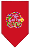 Load image into Gallery viewer, Pet and Dog Bandana Screen Printed, "Throw Me Something Mister"
