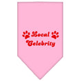 Load image into Gallery viewer, Pet and Dog Bandana Screen Printed, "Local Celebrity"
