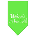 Load image into Gallery viewer, Halloween Pet and Dog Bandana Screen Printed, "Black Cats are Bad Luck"

