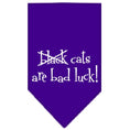 Load image into Gallery viewer, Halloween Pet and Dog Bandana Screen Printed, "Black Cats are Bad Luck"
