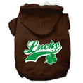 Load image into Gallery viewer, Pet Hoodie "Lucky Swoosh"
