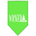 Load image into Gallery viewer, Halloween Pet and Dog Bandana Screen Printed, "Wicked"
