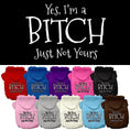 Load image into Gallery viewer, Pet Hoodie "Yes, I'm A Bitch, Just Not Yours"
