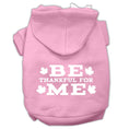 Load image into Gallery viewer, Thanksgiving Pet Dog & Cat Hoodie Screen Printed, "Be Thankful for Me"
