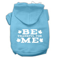 Load image into Gallery viewer, Thanksgiving Pet Dog & Cat Hoodie Screen Printed, "Be Thankful for Me"
