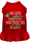 Load image into Gallery viewer, Christmas Pet Dress Screen Printed, "Who Needs Mistletoe"
