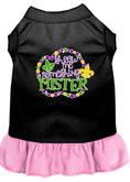 Load image into Gallery viewer, Pet Dress "Throw Me Something Mister"
