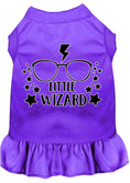 Load image into Gallery viewer, Pet Dress "Little Wizard"

