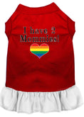 Load image into Gallery viewer, Pet Dress "I Have Two Mommies"
