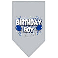 Load image into Gallery viewer, Pet and Dog Bandana Screen Printed, "Birthday Girl -or- "Birthday Boy"
