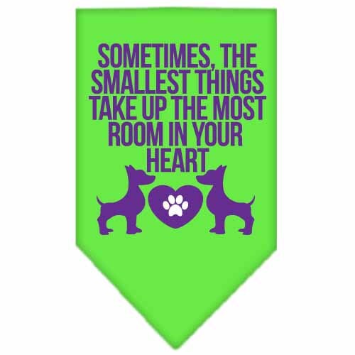Pet and Dog Bandana, "The Smallest Things Take Up Your Heart"