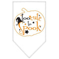 Load image into Gallery viewer, Halloween Pet and Dog Bandana Screen Printed, "Too Cute To Spook"
