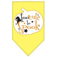 Load image into Gallery viewer, Halloween Pet and Dog Bandana Screen Printed, "Too Cute To Spook"
