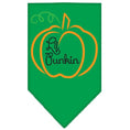 Load image into Gallery viewer, Halloween Pet and Dog Bandana Screen Printed, "Lil Punkin"
