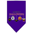 Load image into Gallery viewer, Halloween Pet and Dog Bandana Screen Printed, "Merry Halloween"
