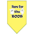 Load image into Gallery viewer, Halloween Pet and Dog Bandana Screen Printed, "Here For The Boos"
