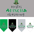 Load image into Gallery viewer, Pet and Dog Bandana Screen Printed, "Mr. Pinch Charming"
