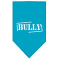 Load image into Gallery viewer, Pet and Dog Bandana Screen Printed, "Bully"
