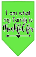 Load image into Gallery viewer, Pet and Dog Bandana Screen Printed, "I Am What My Family Is Thankful For"
