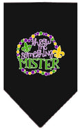 Load image into Gallery viewer, Pet and Dog Bandana Screen Printed, "Throw Me Something Mister"
