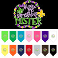 Load image into Gallery viewer, Pet and Dog Bandana Screen Printed, "Throw Me Something Mister"
