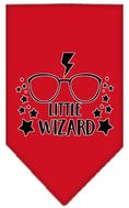 Load image into Gallery viewer, Pet and Dog Bandana Screen Printed, "Little Wizard"

