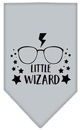 Load image into Gallery viewer, Pet and Dog Bandana Screen Printed, "Little Wizard"

