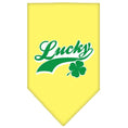 Load image into Gallery viewer, Pet and Dog Bandana Screen Printed,  "Lucky Swoosh"
