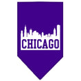 Load image into Gallery viewer, Pet and Dog Bandana Screen Printed, "Chicago Skyline"
