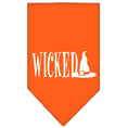 Load image into Gallery viewer, Halloween Pet and Dog Bandana Screen Printed, "Wicked"
