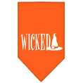 Load image into Gallery viewer, Halloween Pet and Dog Bandana Screen Printed, "Wicked"
