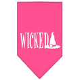 Load image into Gallery viewer, Halloween Pet and Dog Bandana Screen Printed, "Wicked"

