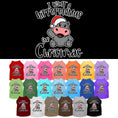Load image into Gallery viewer, Christmas Pet Dog & Cat Shirt, "I Want A Hippopotamus For Christmas"
