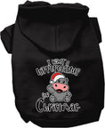Load image into Gallery viewer, Christmas Pet Hoodie "I Want A Hippopotamus For Christmas"
