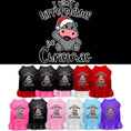 Load image into Gallery viewer, Christmas Pet Dress "I Want A Hippopotamus For Christmas"
