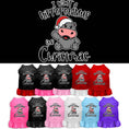 Load image into Gallery viewer, Christmas Pet Dress "I Want A Hippopotamus For Christmas"
