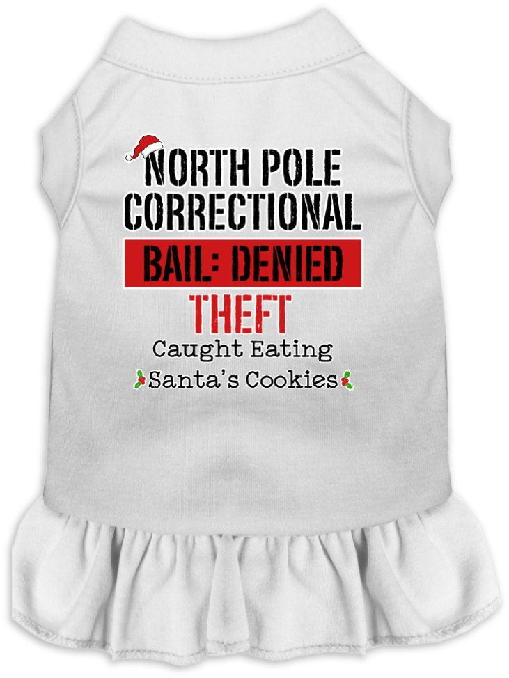 Christmas Pet Dress "North Pole Correctional"