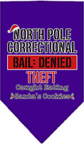 Load image into Gallery viewer, Christmas Pet and Dog Bandana Screen Printed, "North Pole Correctional"
