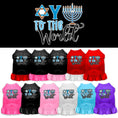Load image into Gallery viewer, Hanukkah Pet Dress "Oy To The World"
