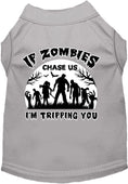 Load image into Gallery viewer, Halloween Pet Dog & Cat Shirt, "If Zombies Chase Us, I'm Tripping You"
