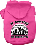 Load image into Gallery viewer, Halloween Pet Hoodie "If Zombies Chase Us, I'm Tripping You"
